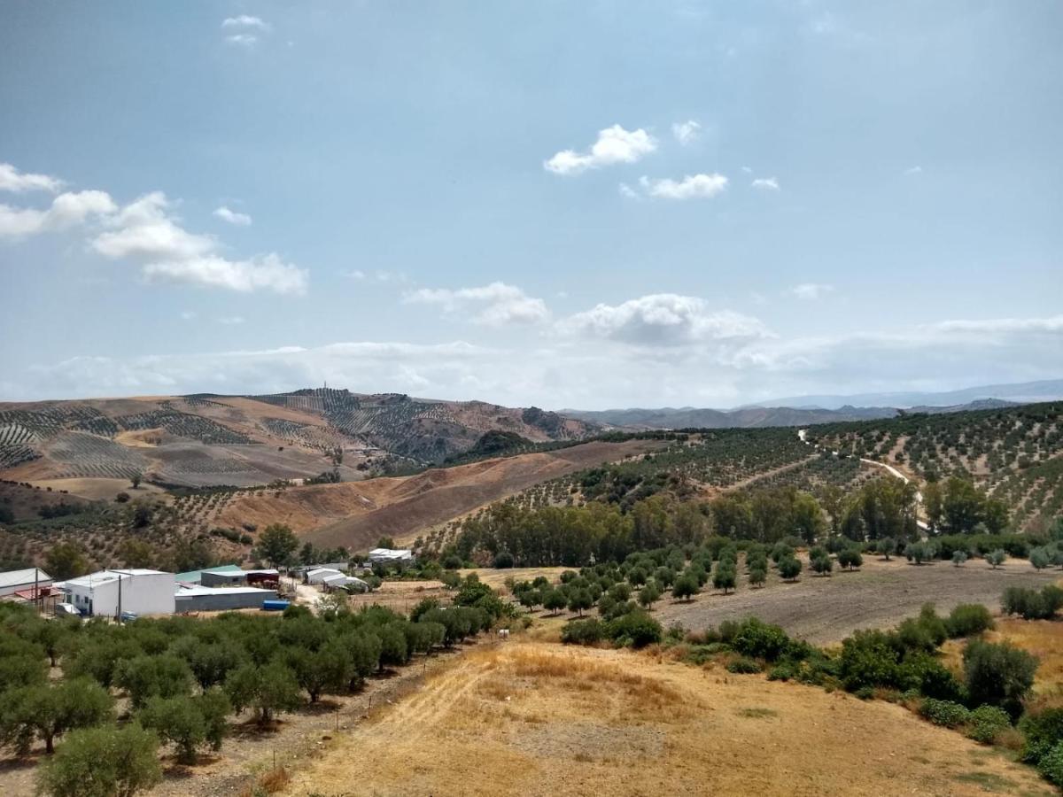 Apartamento Completo En Sierra Sur Villanueva de San Juan 외부 사진